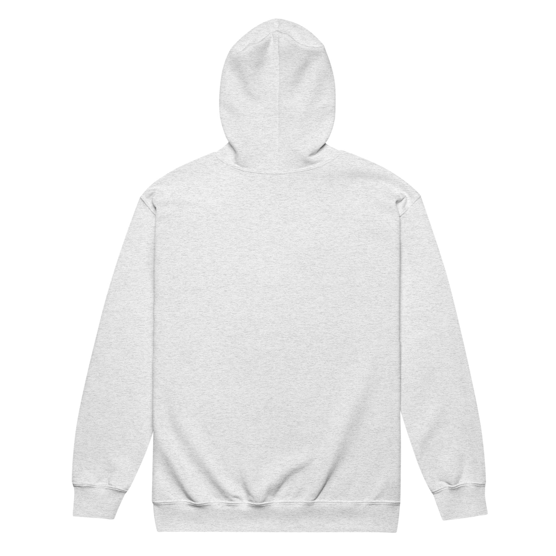 Moved by the Tide Zip Hoodie — ash, back view, queer-owned PNW Pride apparel