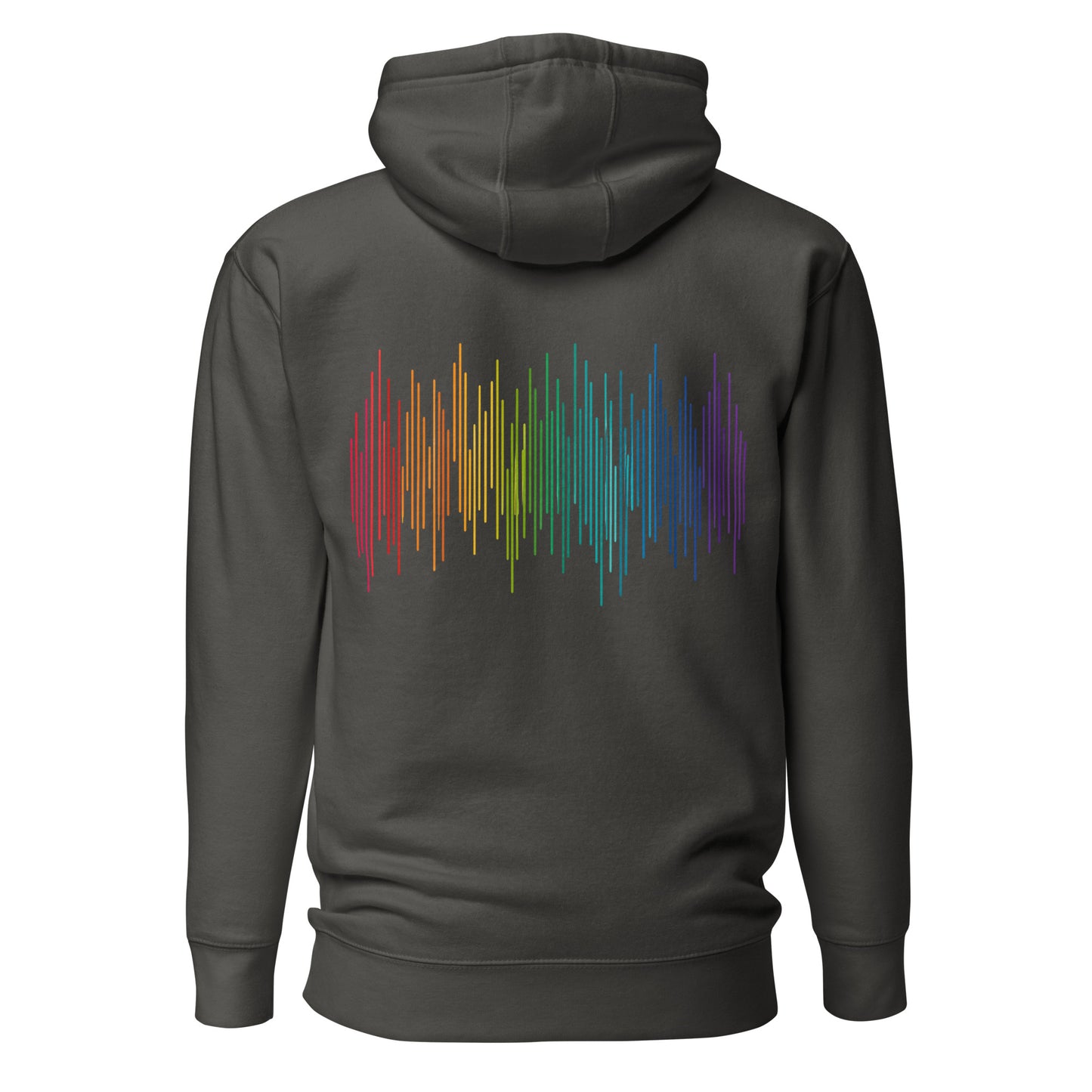 PrideFall Hoodie — vintage black, back view, queer-owned PNW Pride apparel