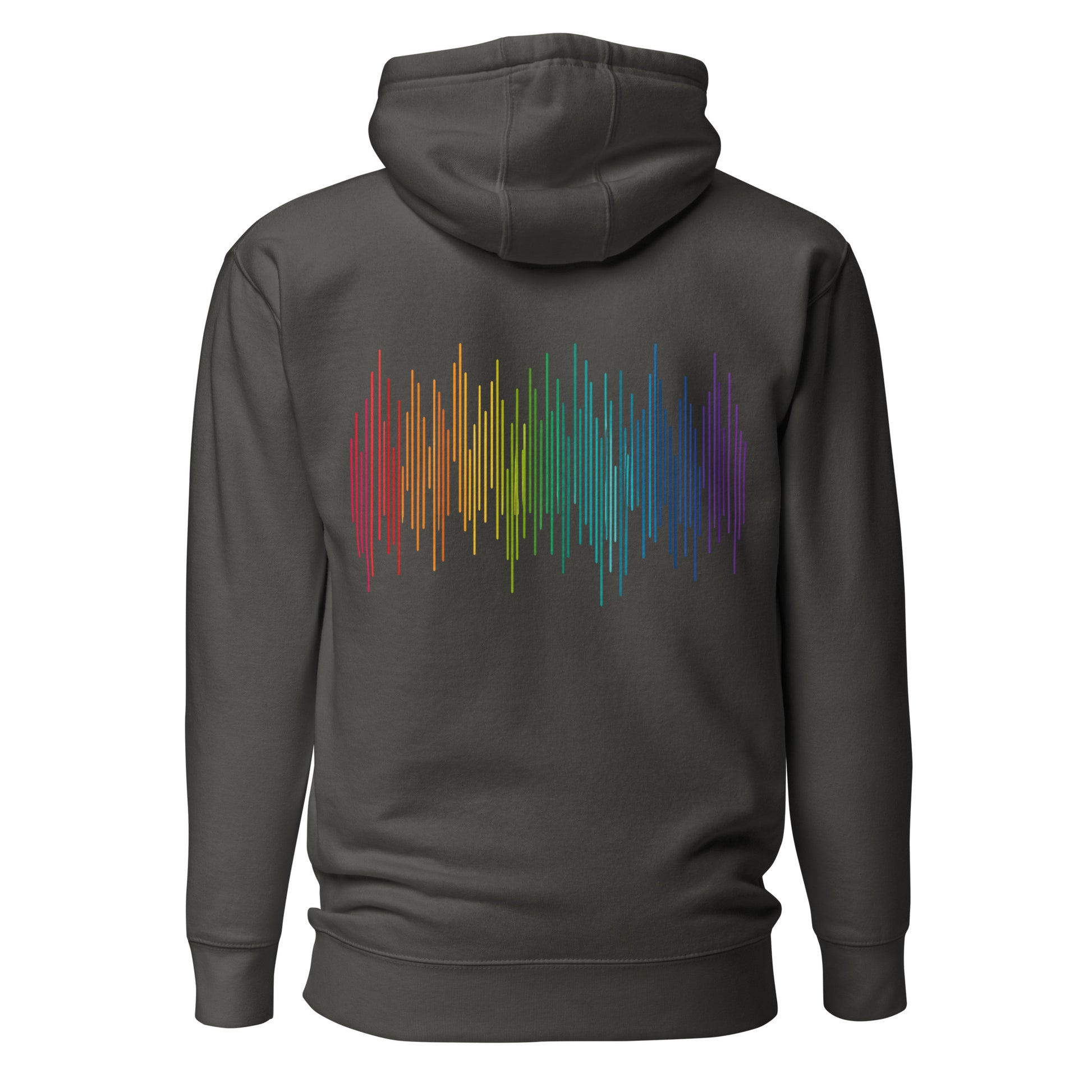 PrideFall Hoodie — vintage black, back view, queer-owned PNW Pride apparel