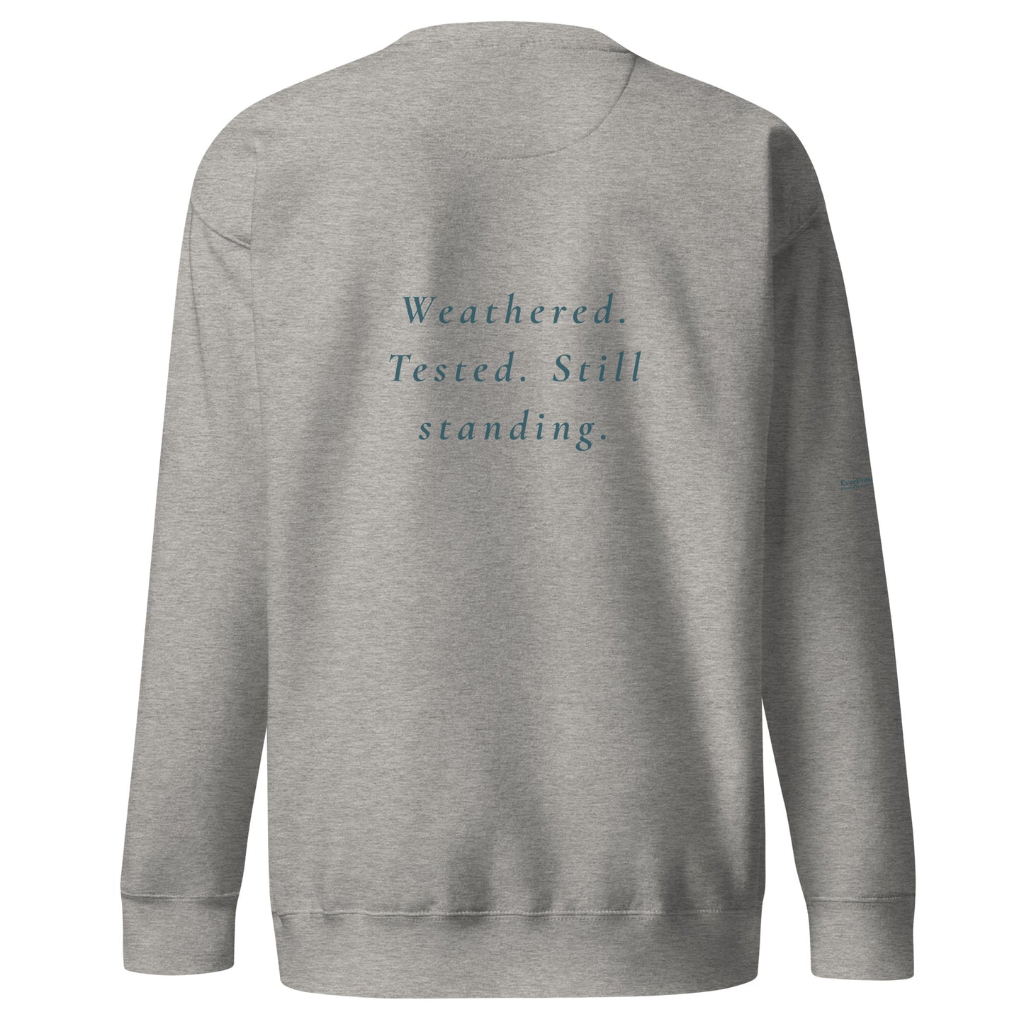 Endure Sweatshirt — carbon grey, back view, queer-owned PNW Pride apparel