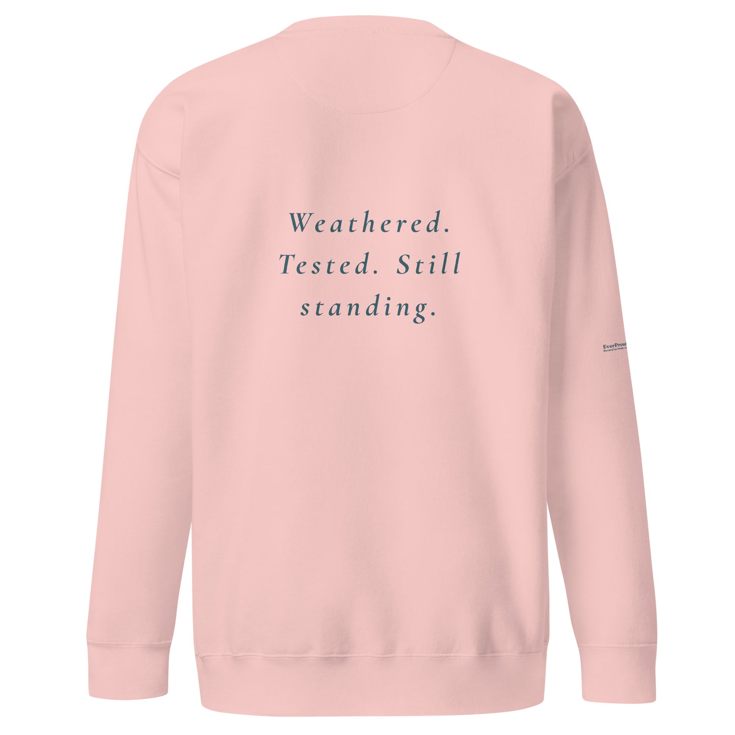Endure Sweatshirt — light pink, back view, queer-owned PNW Pride apparel