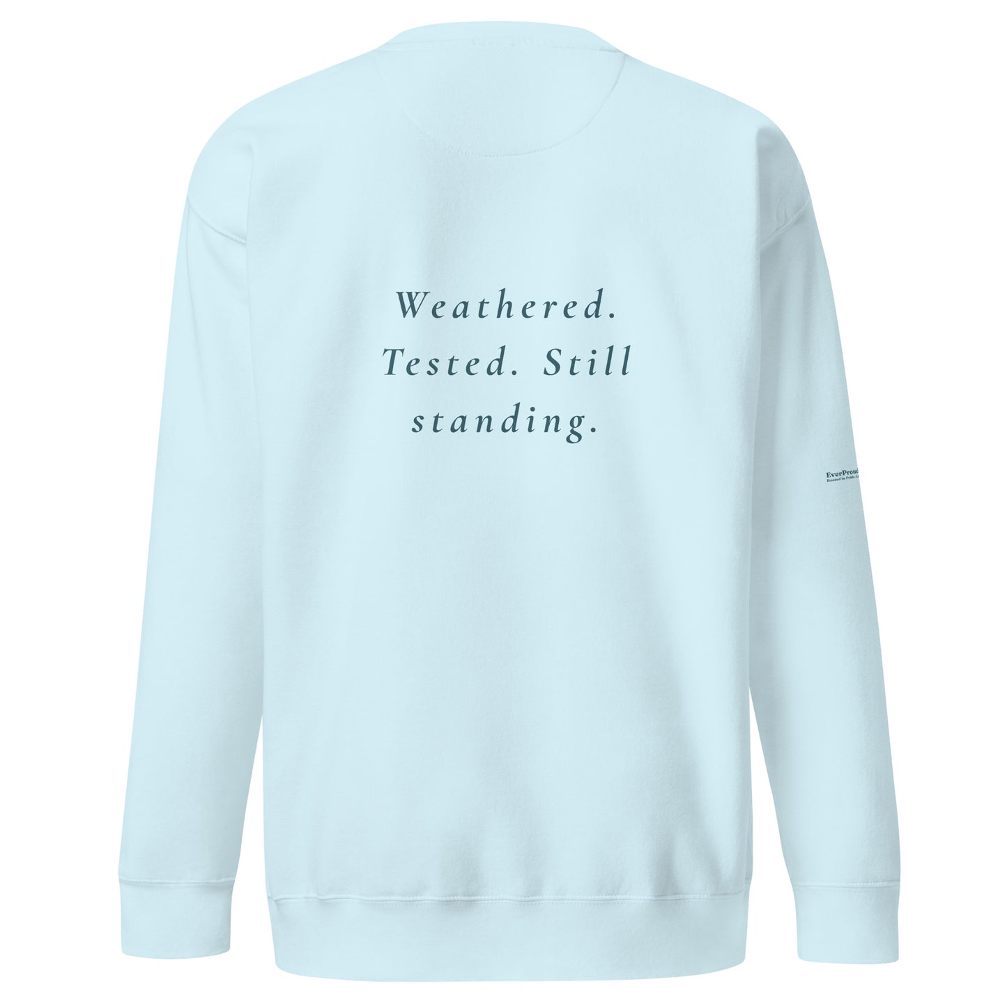 Endure Sweatshirt — sky blue, back view, queer-owned PNW Pride apparel