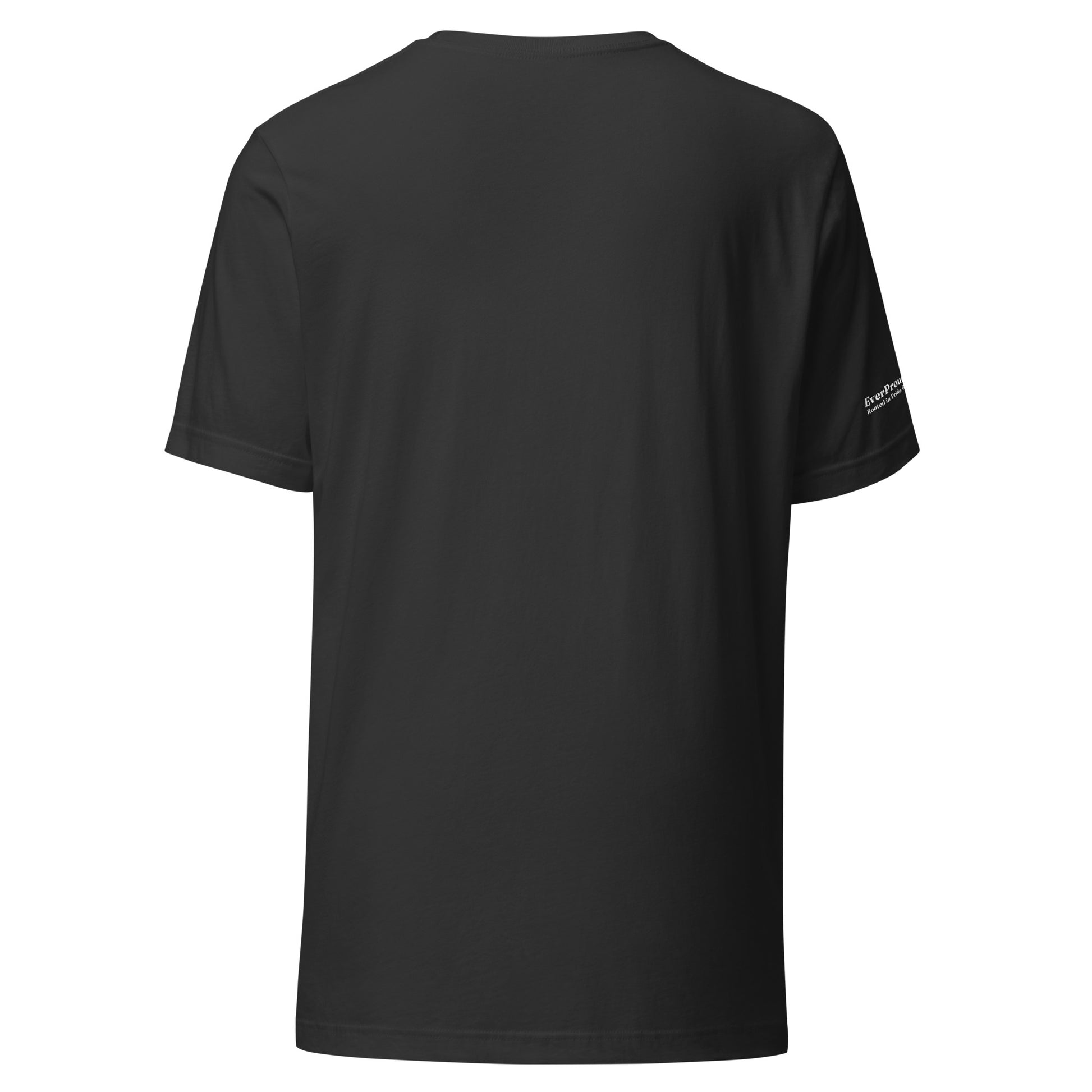 Signal Core T-Shirt — dark grey, back view, queer-owned PNW Pride apparel
